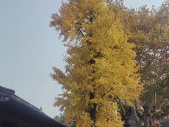 -钱王祠