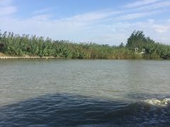 -泗洪洪泽湖湿地景区
