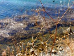 -丽江泸沽湖景区-里格半岛
