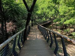 -白水寺森林公园