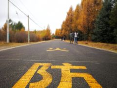 -塞罕坝国家级自然保护区