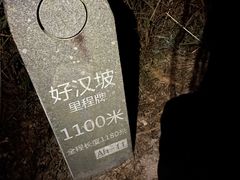 -梧桐山风景名胜区