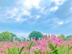 -广东花都香草世界旅游度假区