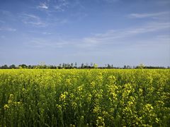 -汉长安城未央宫国家考古遗址公园