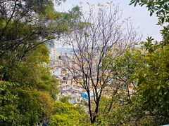 -佛山华盖山公园