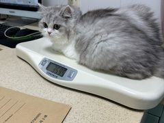 -莘程宠物医院(金山店)