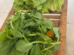 -草墩罗非鱼庄•野生菌•腊排骨(七星街上段店)