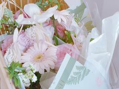 -HUATA 'Holiday Plan 花榻