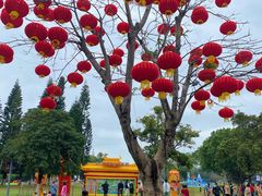 -万绿园