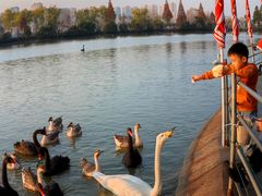 -艾溪湖湿地公园