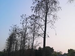 -映月湖公园