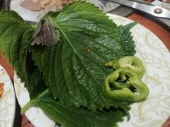 -比尔森韩式烤肉自助(绿园店)