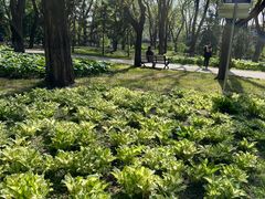 -玲珑塔公园