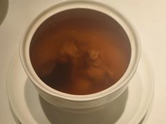 -觀芷隐轩