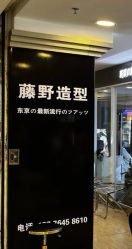 点击看大图 -藤野造型