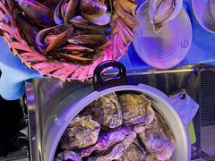 -千岛蚝高压锅生蚝·人参火锅(白云万达店)