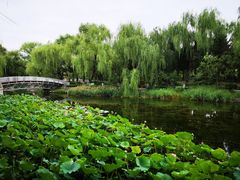-满都海公园