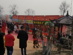 -武汉紫薇都市田园