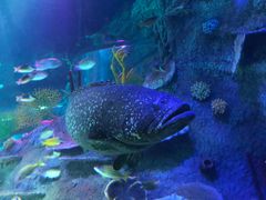 -沈阳海洋探索中心