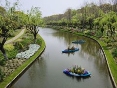 -上海鲜花港
