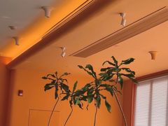 -美泰·Mangothai·清迈云街(天空之城店)