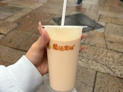 -猫的魔法密林(衣裳街店)