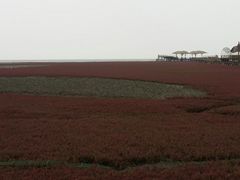 -红海滩国家风景廊道