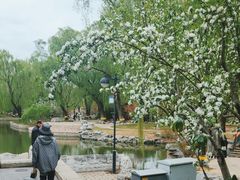 -万柳阁小馆·花园餐厅(龙潭湖店)