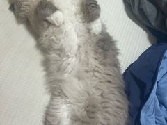 -星巴克(北京西站5号候车室)