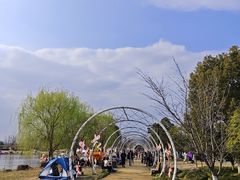 -径山花海