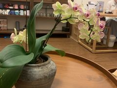 -仰生如卉推拿养生馆(酒仙桥店)