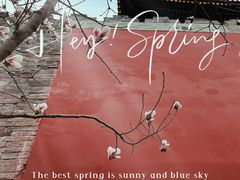 -东华门大街小区