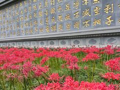 -西安大兴善寺