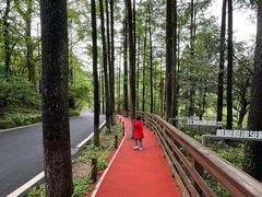 -莫干山风景区