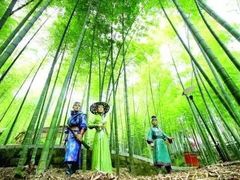 -南山植物园