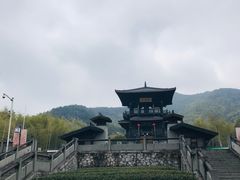 -大唐贡茶院