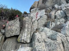 -泰山风景名胜区