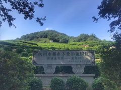 -龙井壹号·茶缘山景宴(龙井村店)
