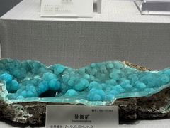 -湖南省地质博物馆