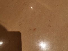 -上海佘山世茂艾美酒店