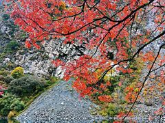 -叠溪松坪沟景区