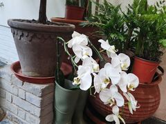 -北平小院设计酒店