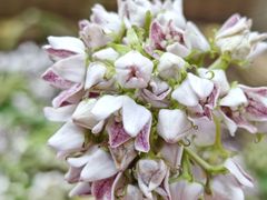 -五里多农博广场