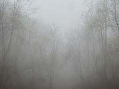 -塔云山
