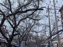 -清真·穆萨砂锅(大皮院店)