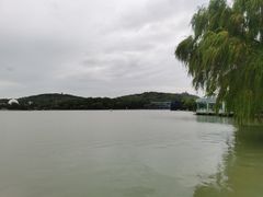 -上海月湖雕塑公园