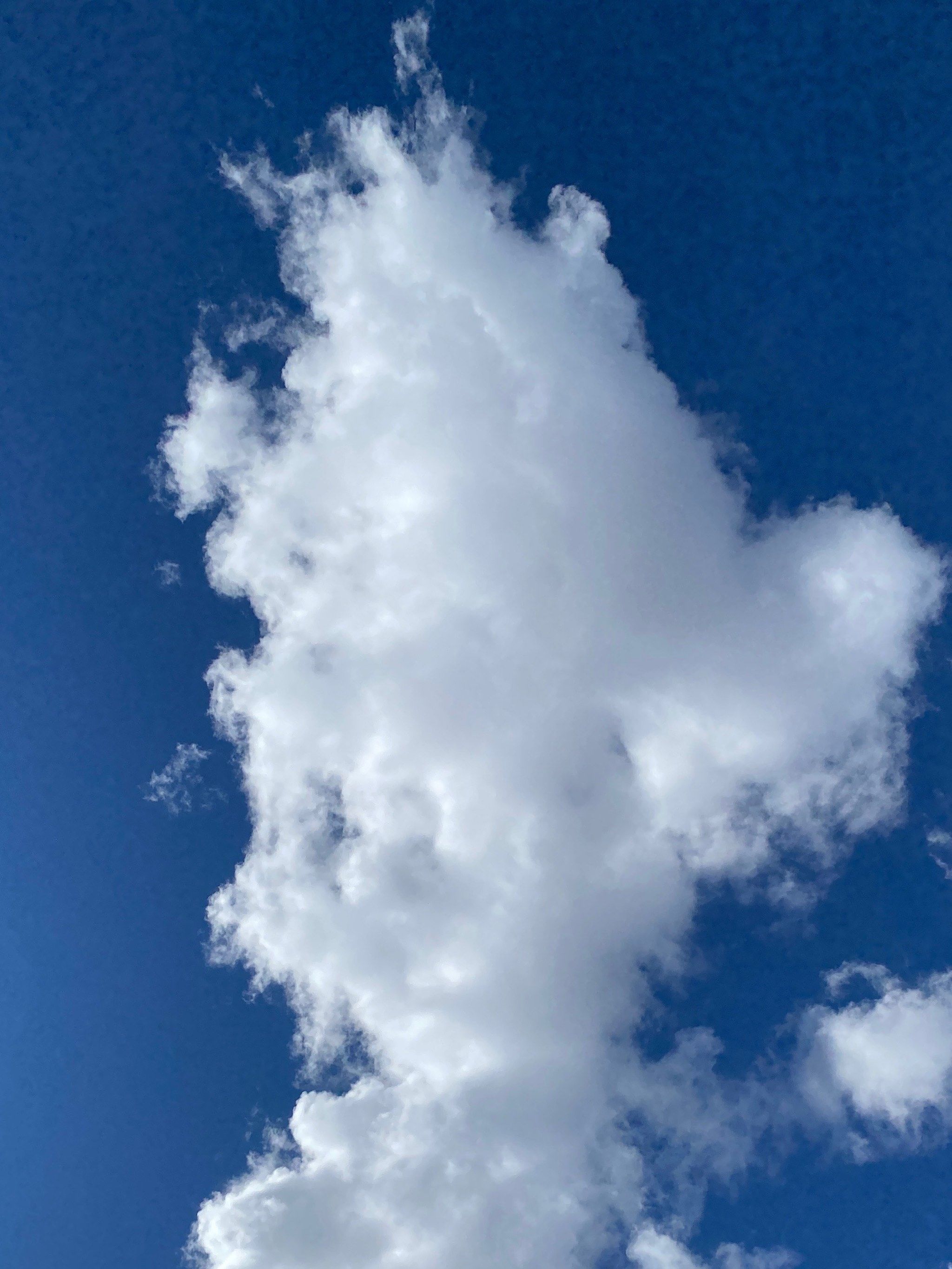 徒步趟在草地上,看云朵变换各种形状☁️