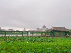 -莲花池公园