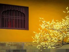 -西园戒幢律寺