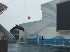 -北戴河圣蓝海洋公园